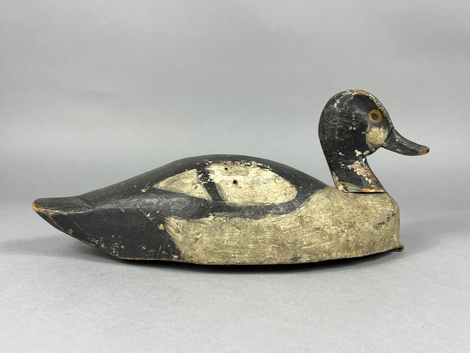 Goldeneye from New York