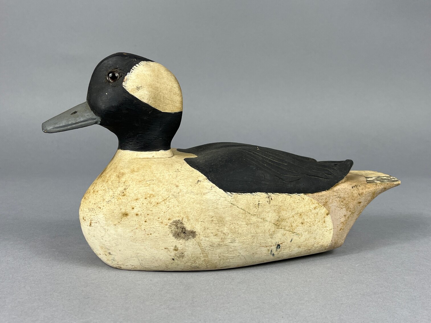 Bufflehead by M W Dilks