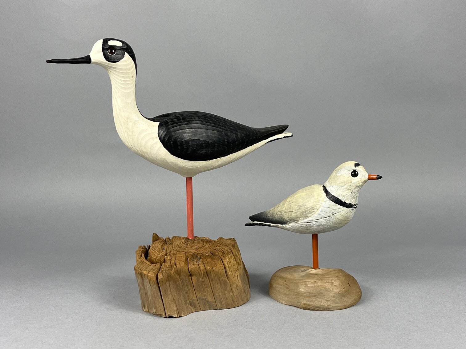 Stilt & Piping Plover by Greg Daisey