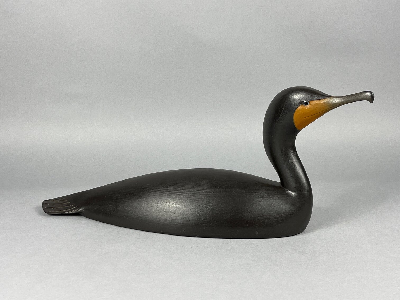 Cormorant by Capt J Dan Vaughan 