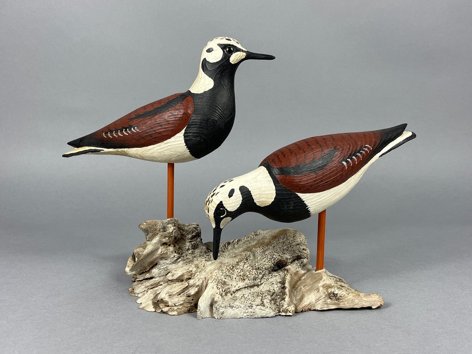 Ruddy Turnstones by Greg Daisey