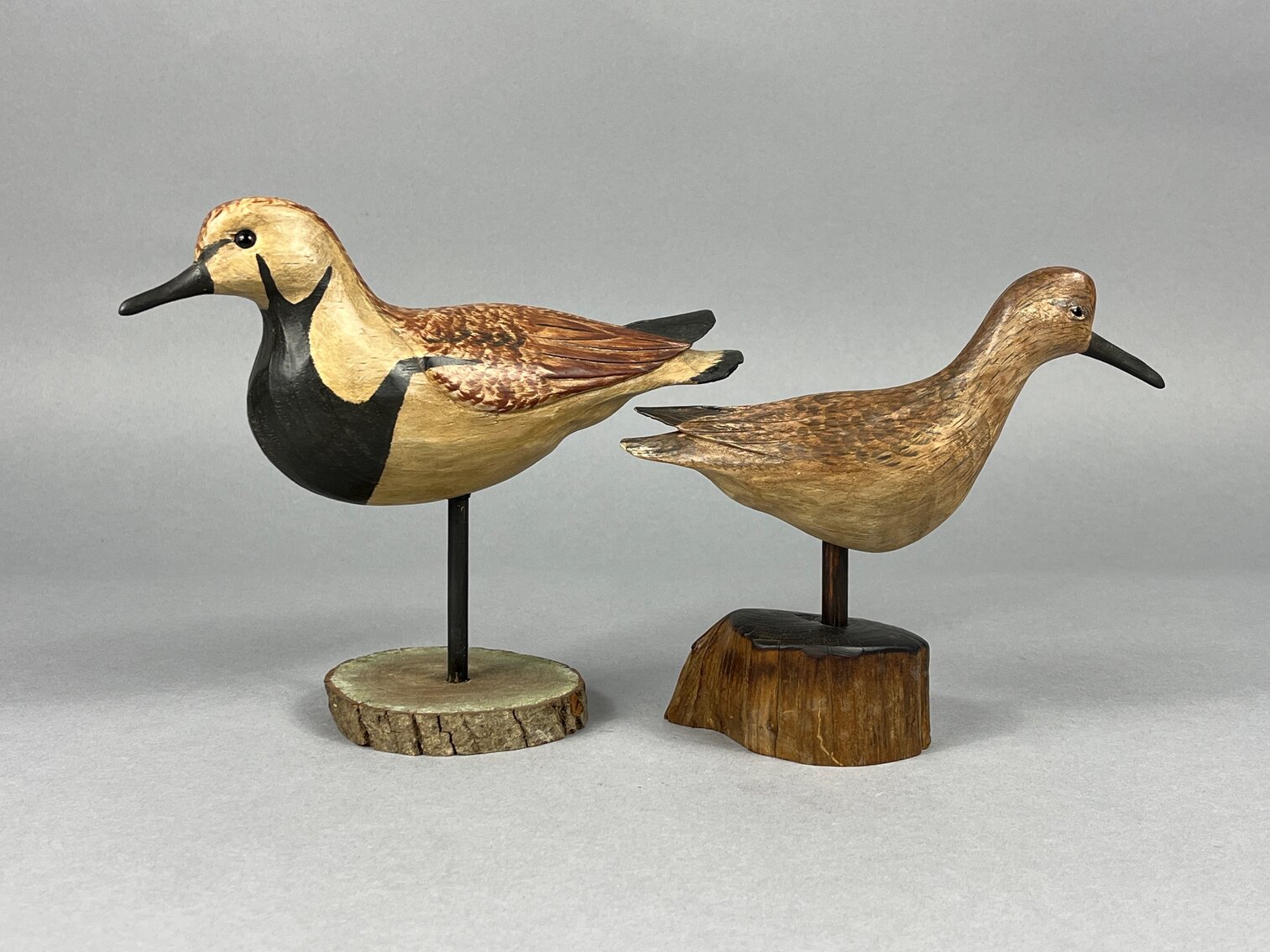 Shorebirds by Tom Savage