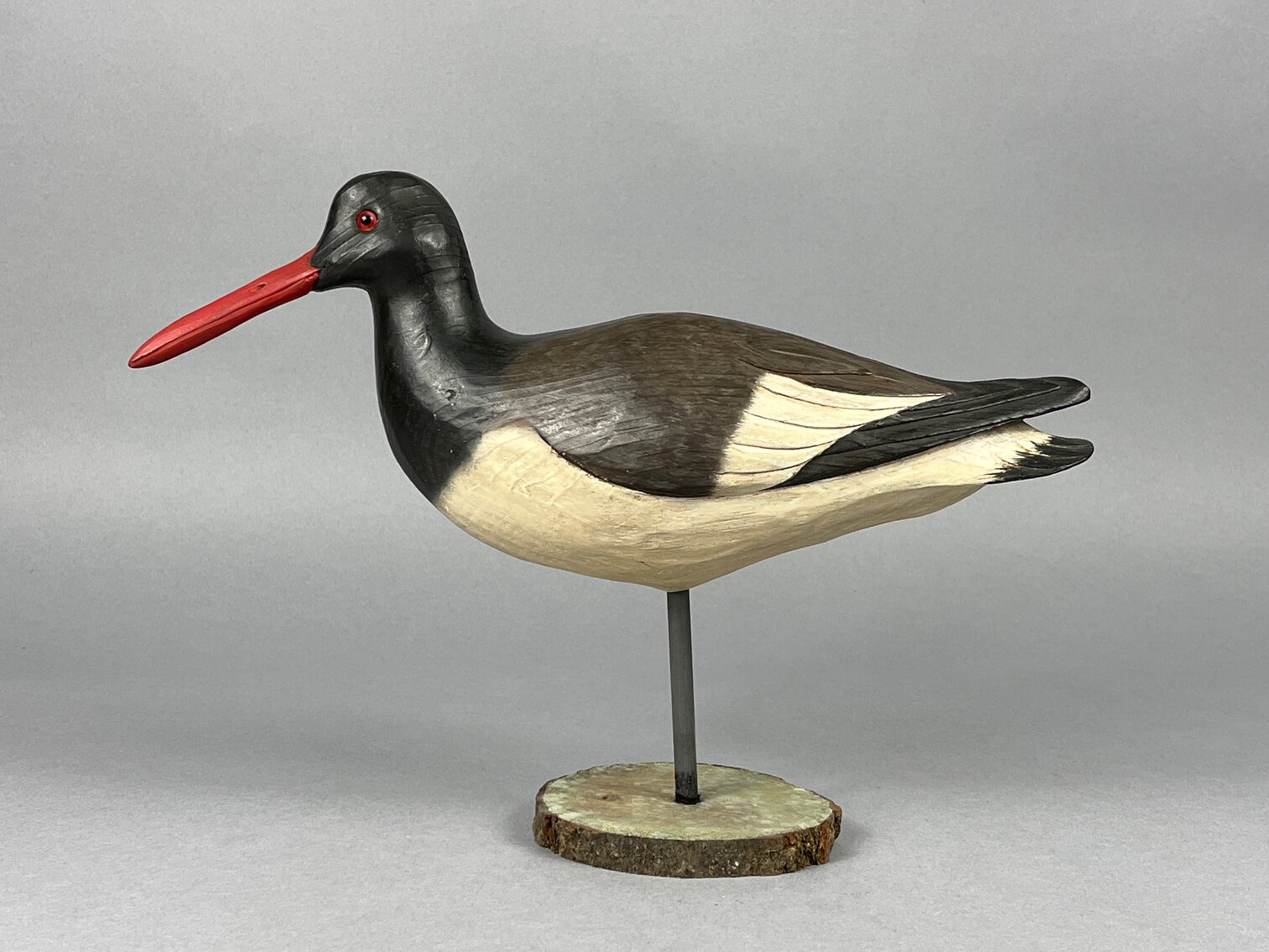 Oyster Catcher by Tom Savage