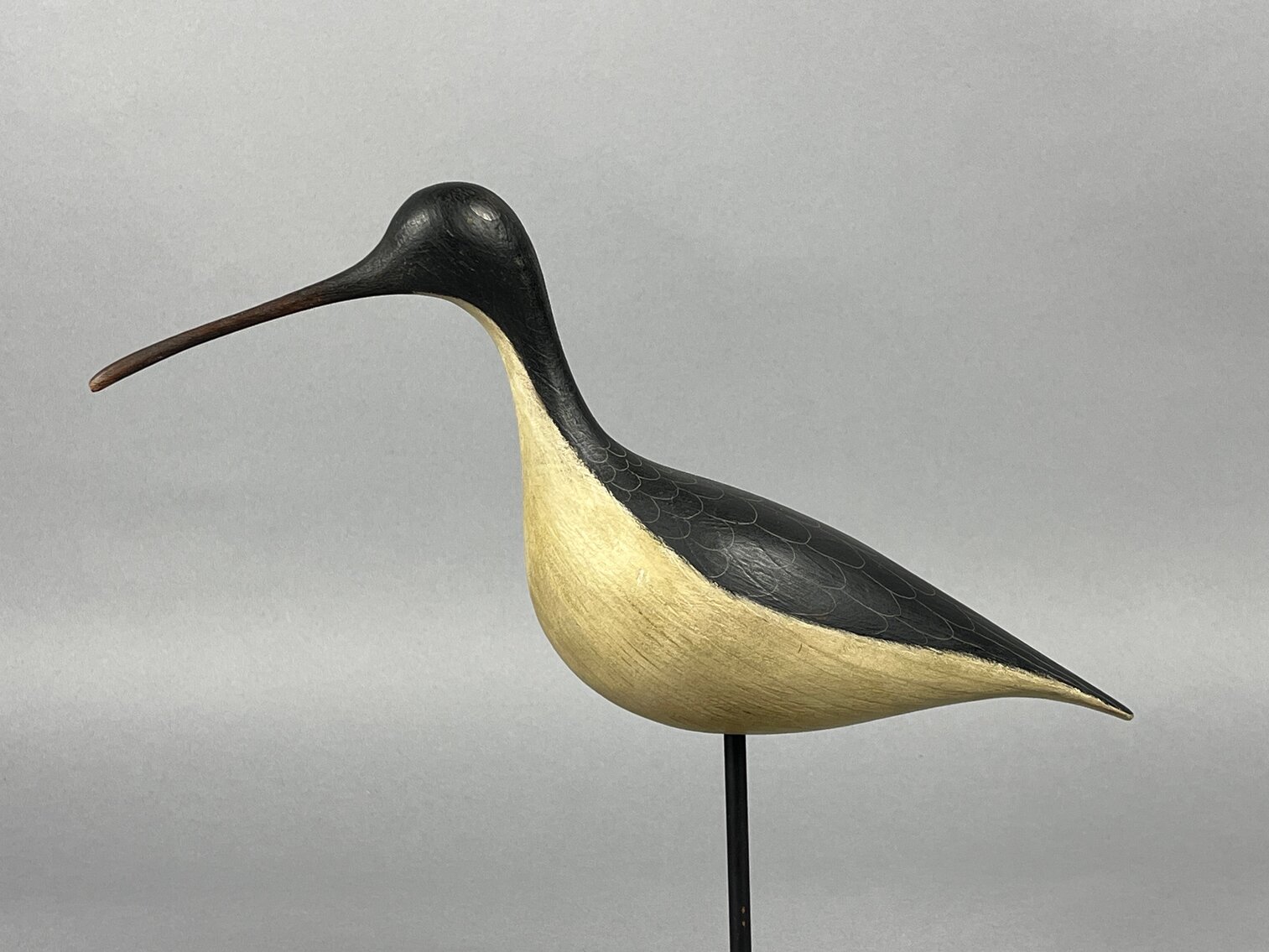 Yellowlegs marked D