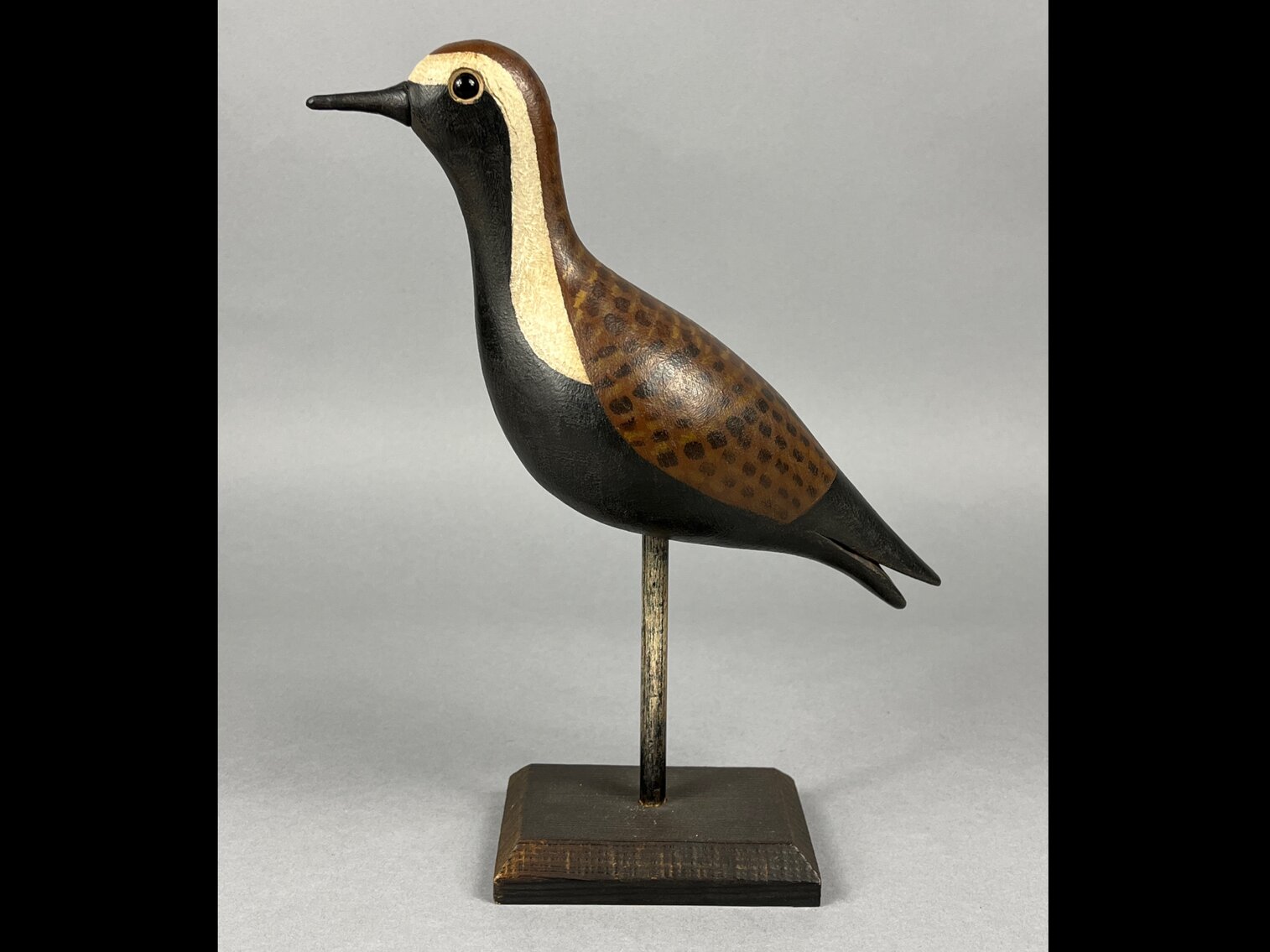 Golden Plover by Jim Brockman