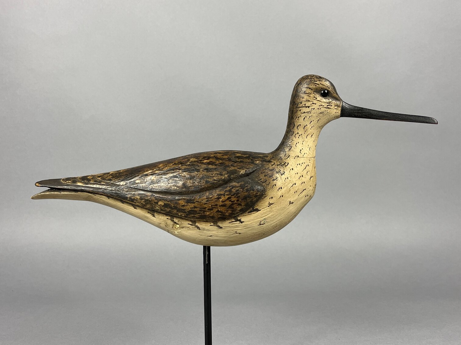 Yellowlegs marked W