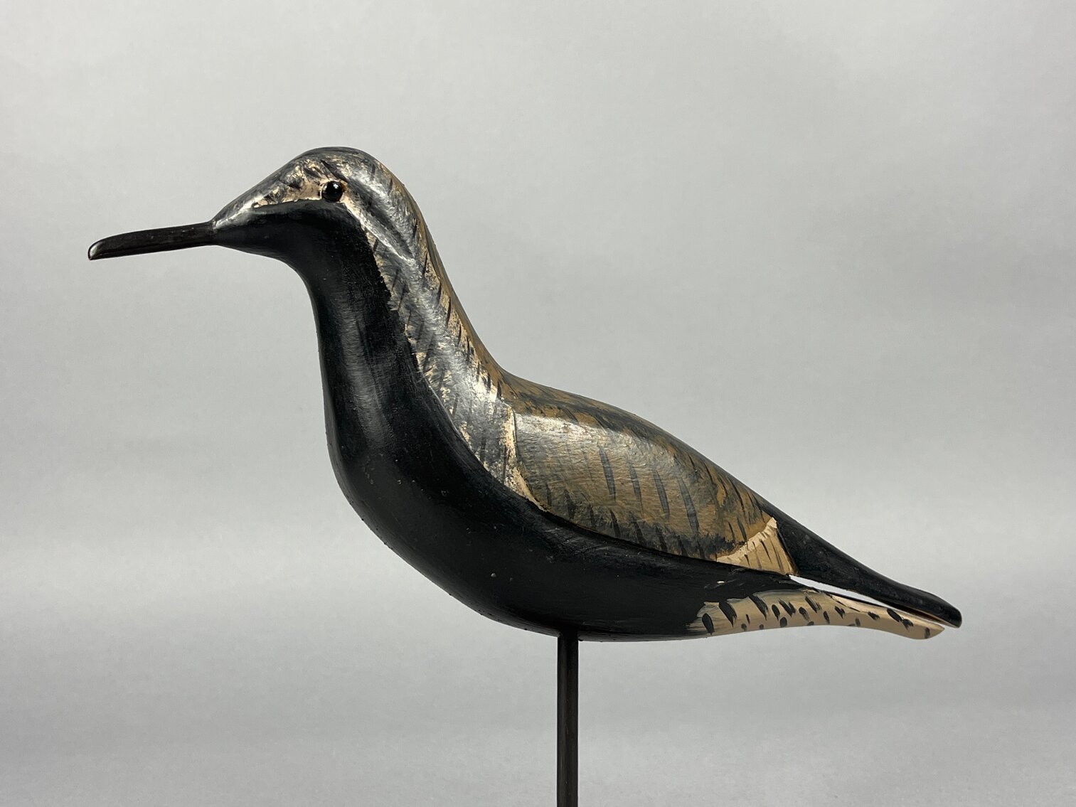 Black Bellied Plover by Robert Litzenberg 