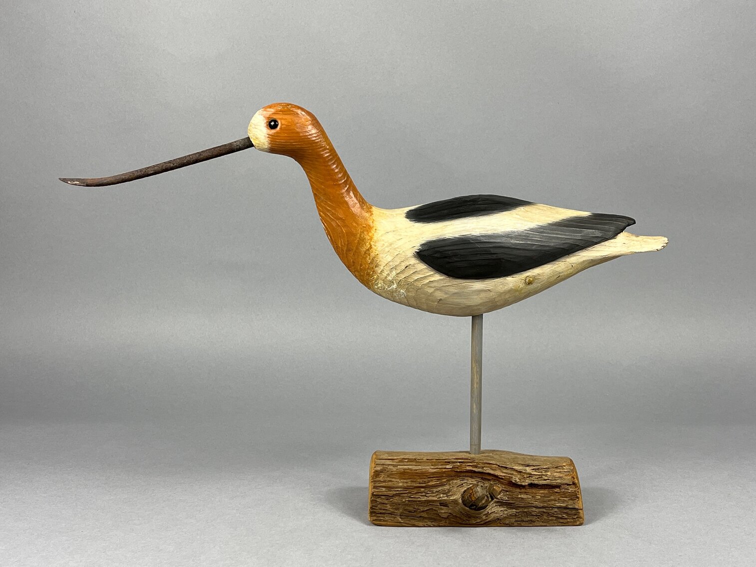Avocet by Tom Savage