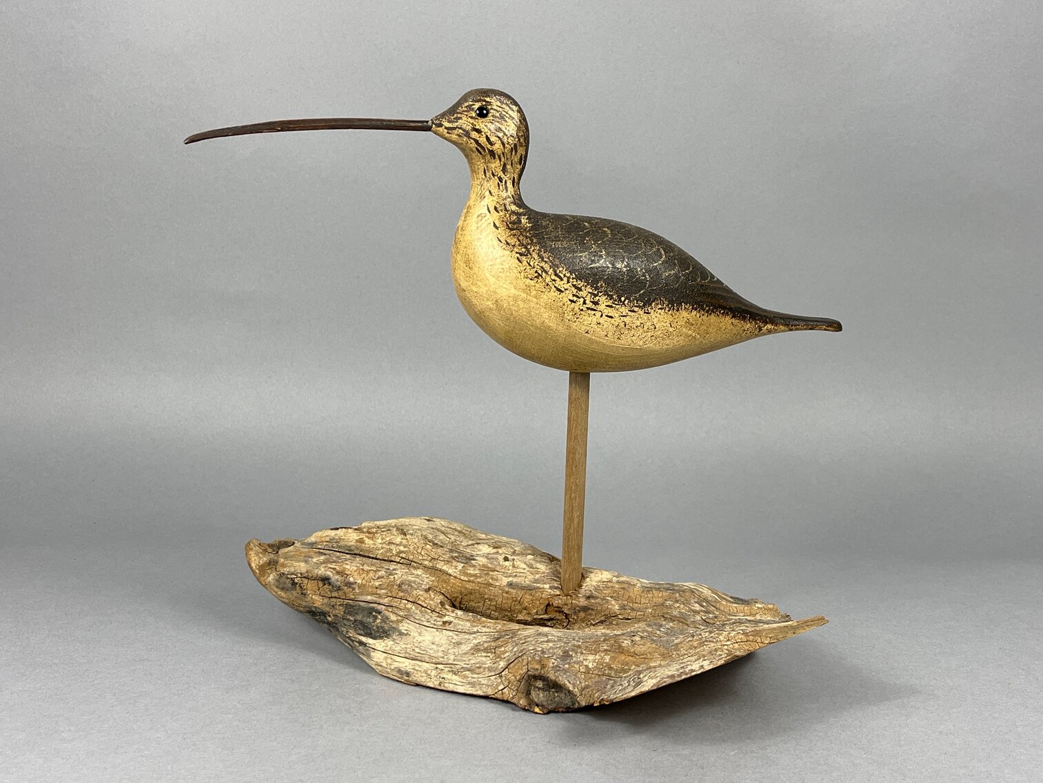 Curlew Mounted on Base