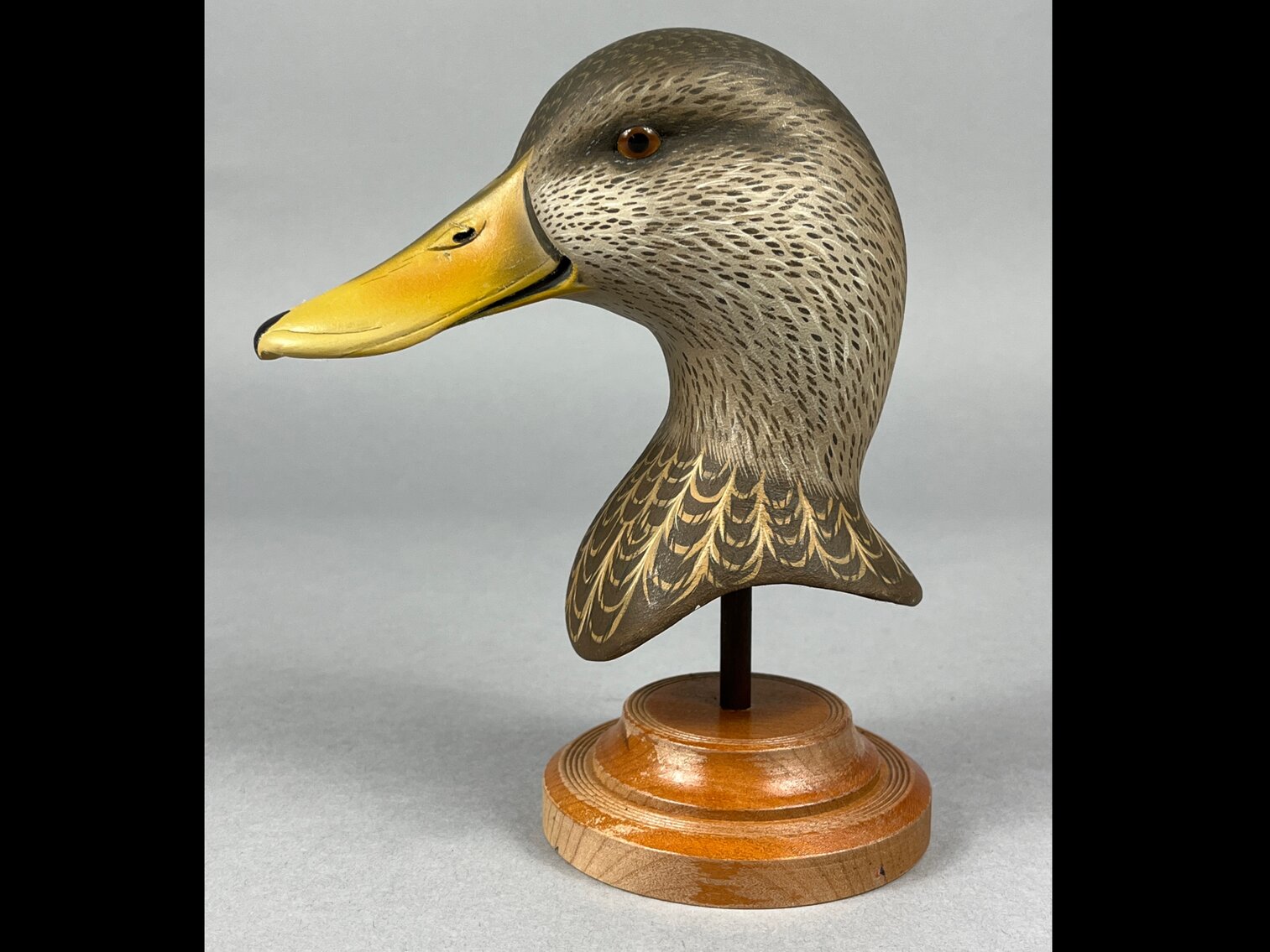 Black Duck Head by Harold Hynseht