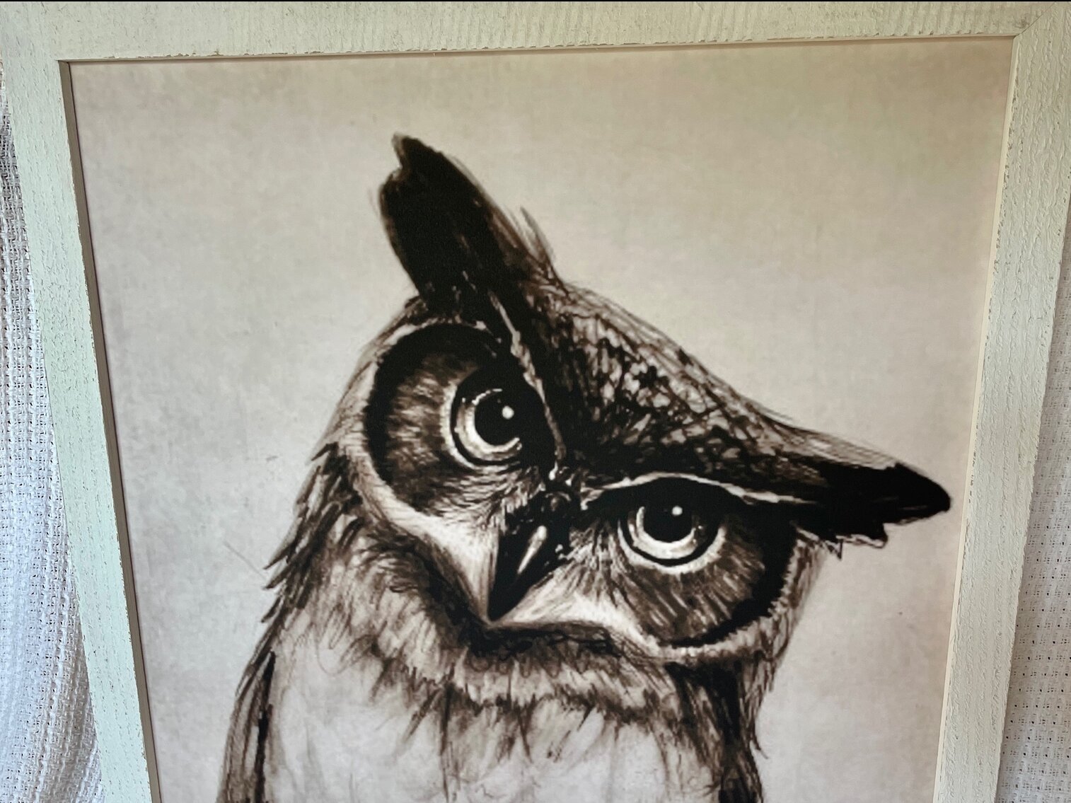 Framed Owl Picture Lot 3 of 3