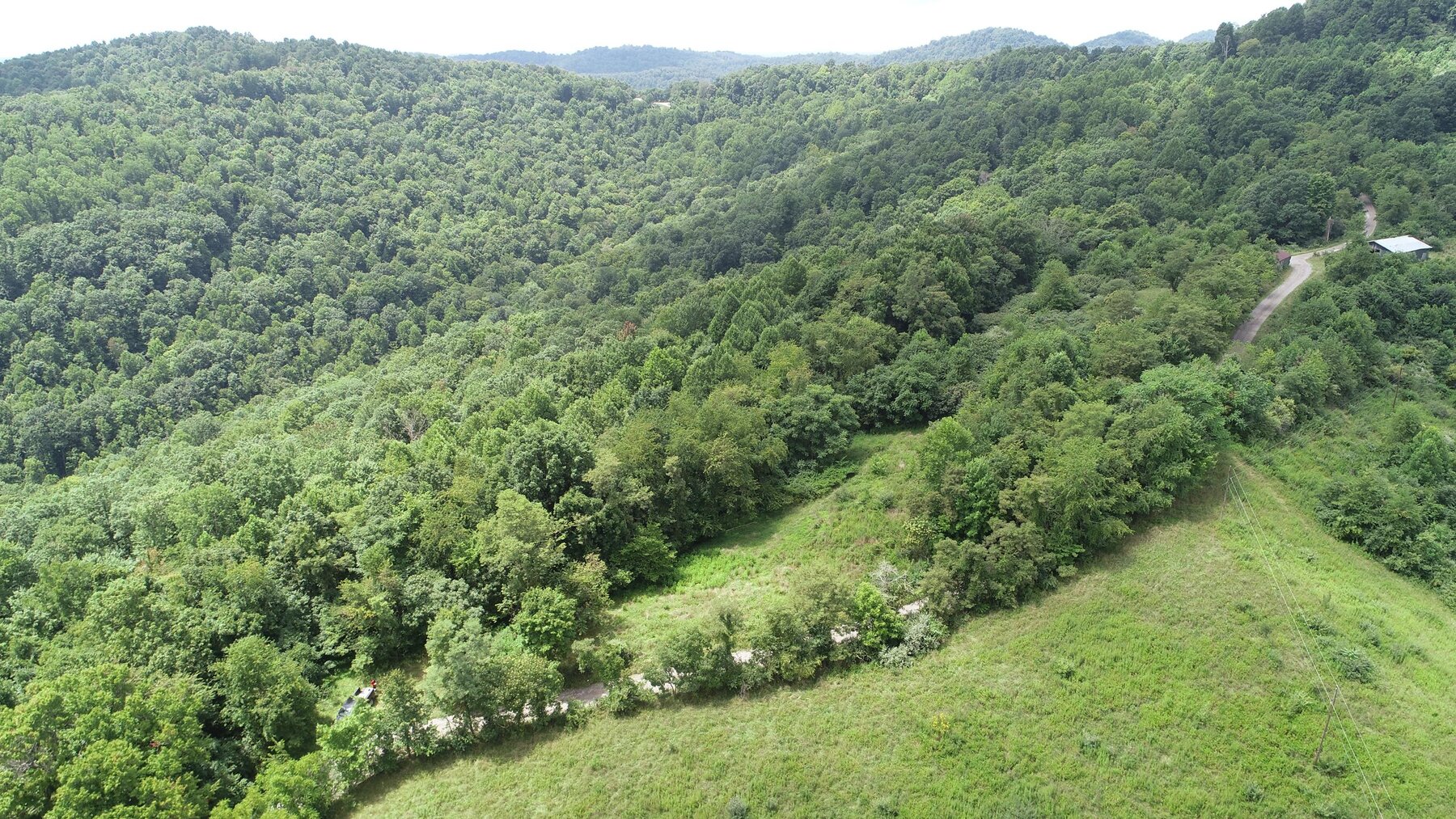 Image for SOLD $162,250 - 3 Bedroom on 39 Acres Selling to the Highest Bidder