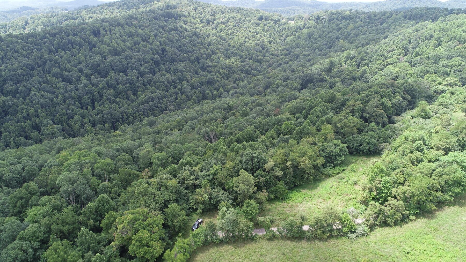 Image for SOLD $162,250 - 3 Bedroom on 39 Acres Selling to the Highest Bidder