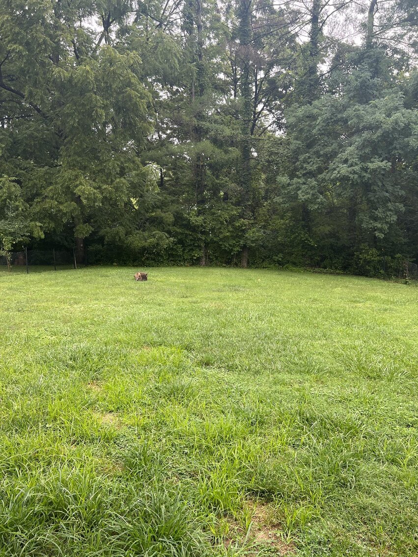 Image for SOLD $90,200 - 3 Bedroom Brick Ranch in Wonderful Neighborhood