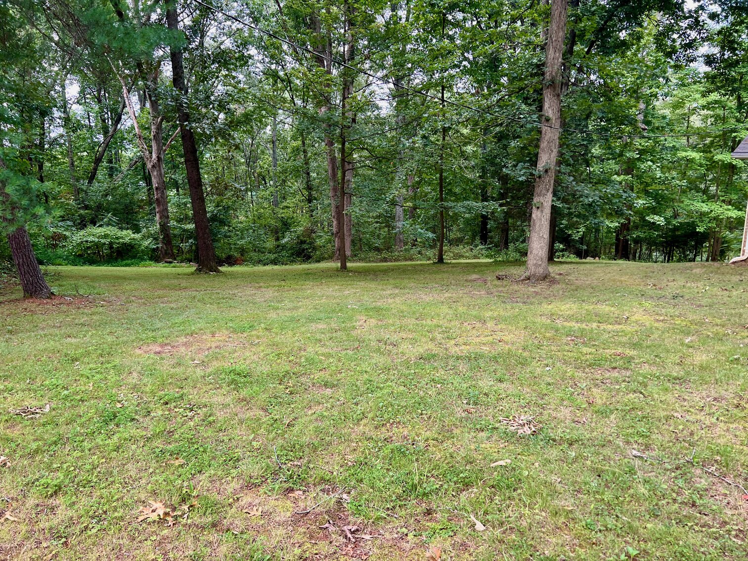 Image for 2 BR/2 BA Home w/Outbuildings on 2.6 +/- Acres in Culpeper, VA--SELLS to the HIGHEST BIDDER!!