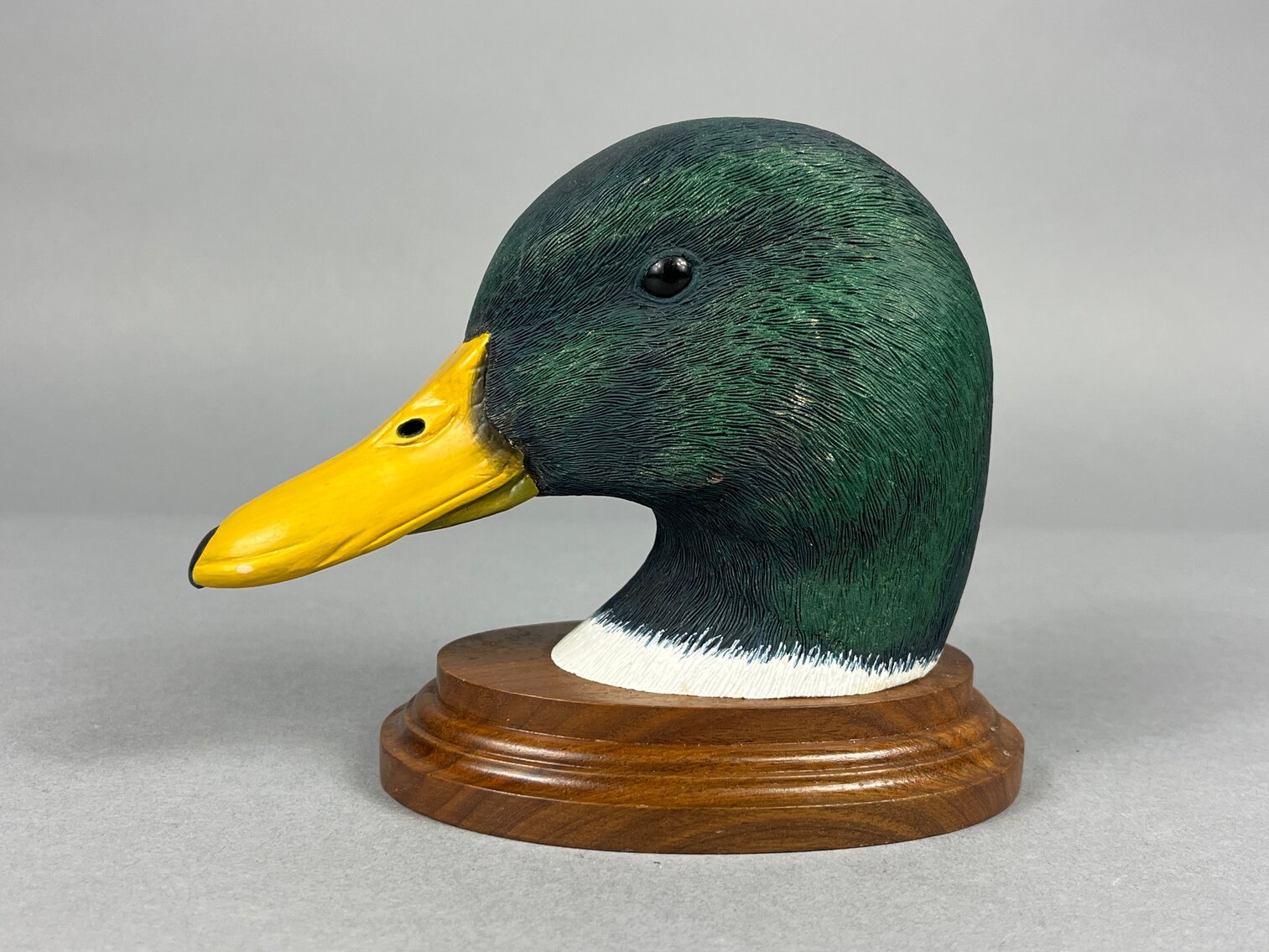 Mallard head by A B Wilson