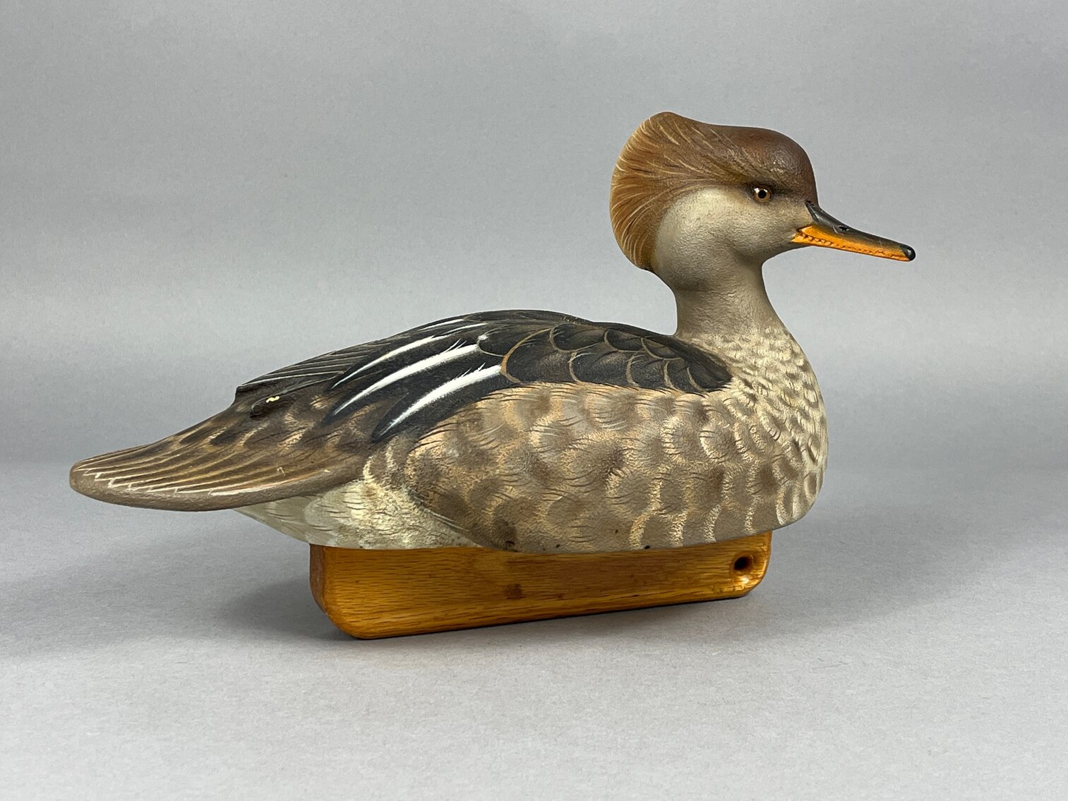Hooded Merganser by Tom Christie 