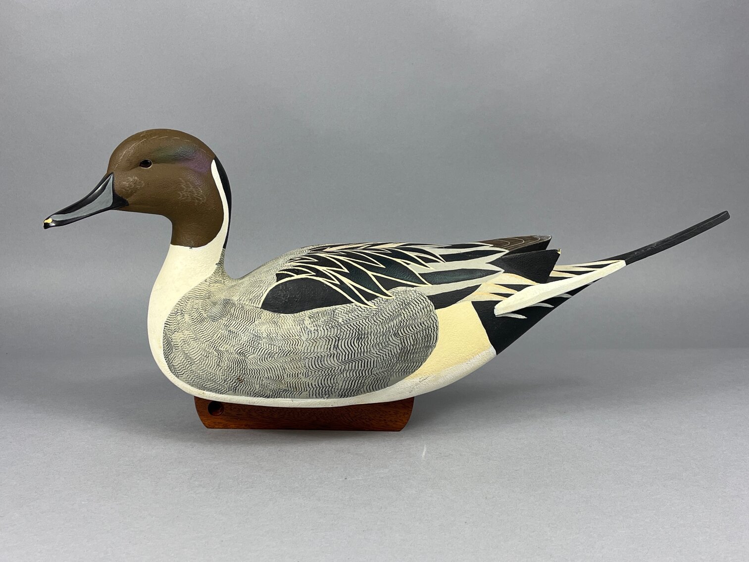 Pintail by Tom Pellis 