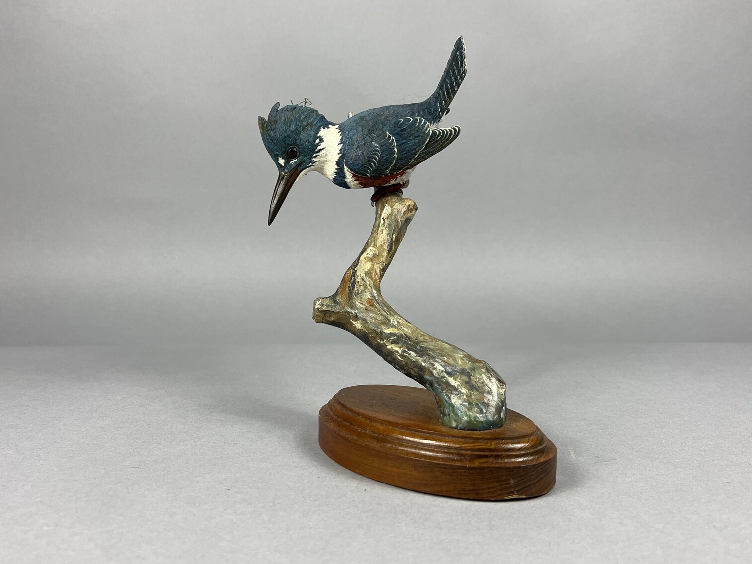 Kingfisher by Sid Lacoste. 