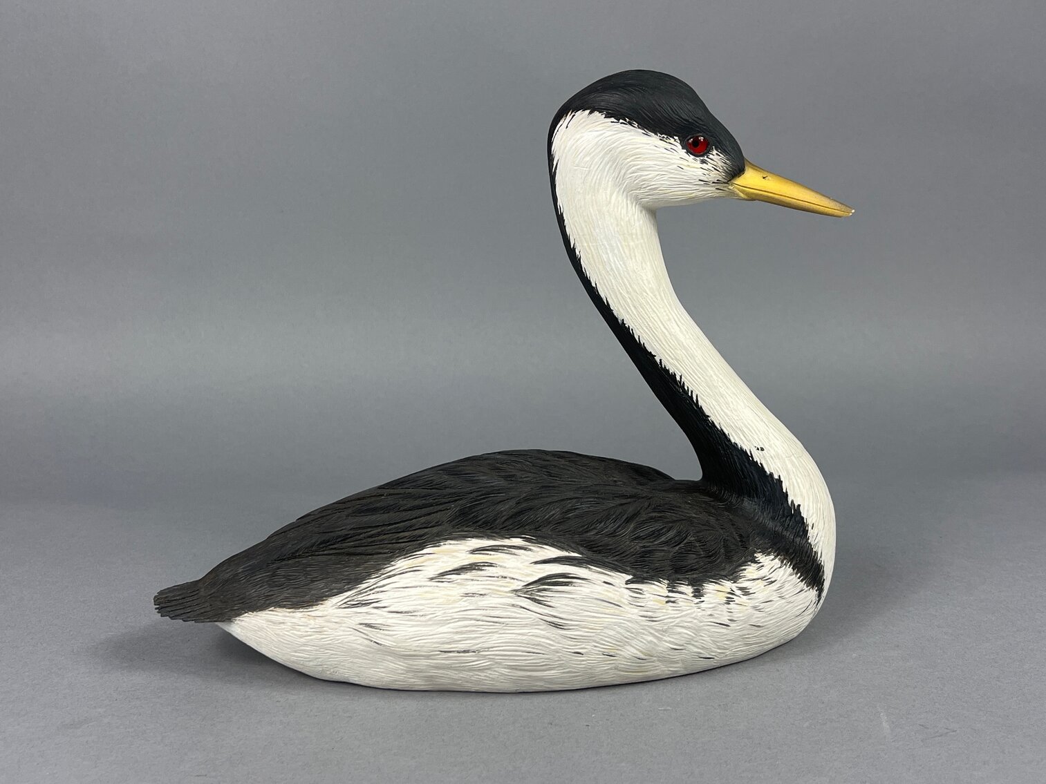 Western Grebe by Scott Miller