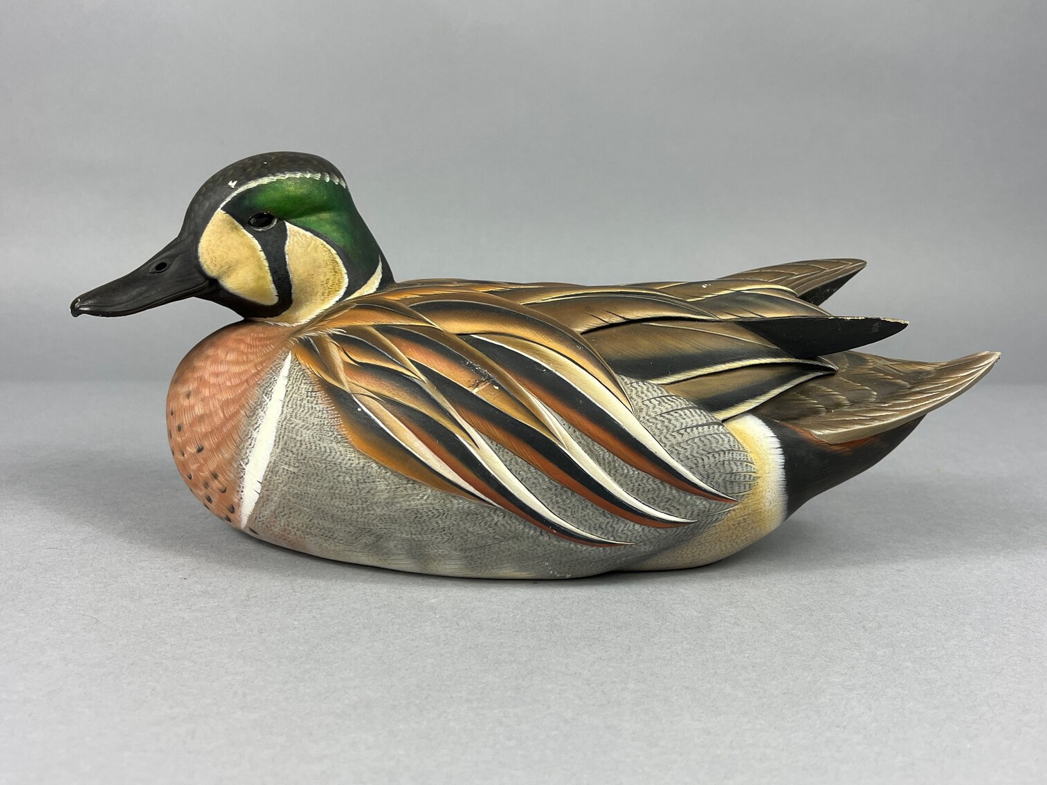 Baikal Teal by L S Dwyer