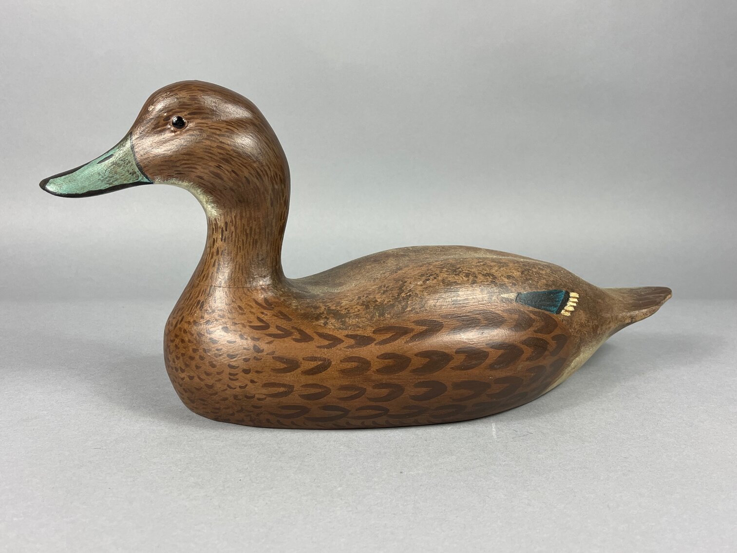 Pintail by Chuck Roudbush 