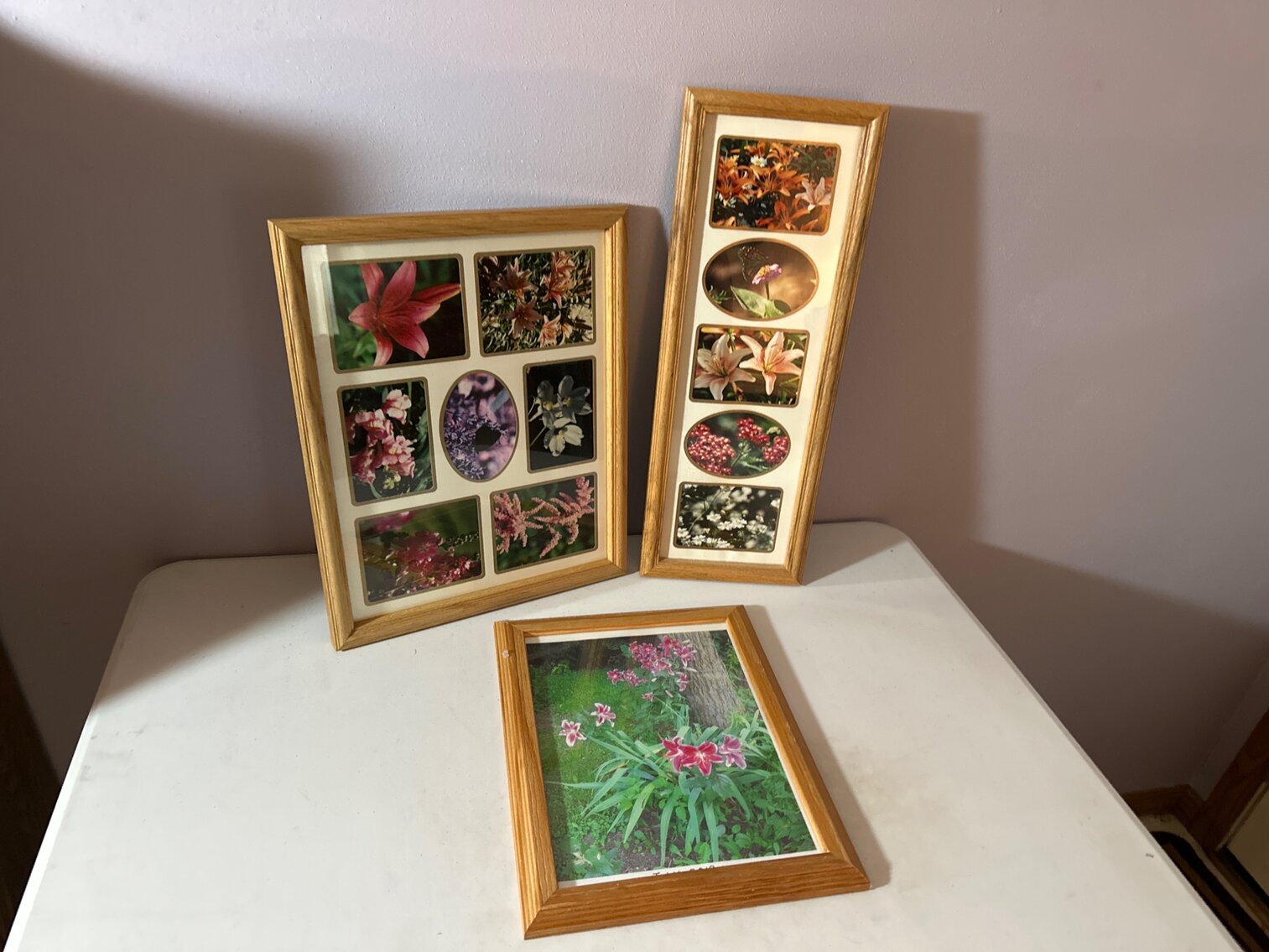 Set of 3 Flower Pictures