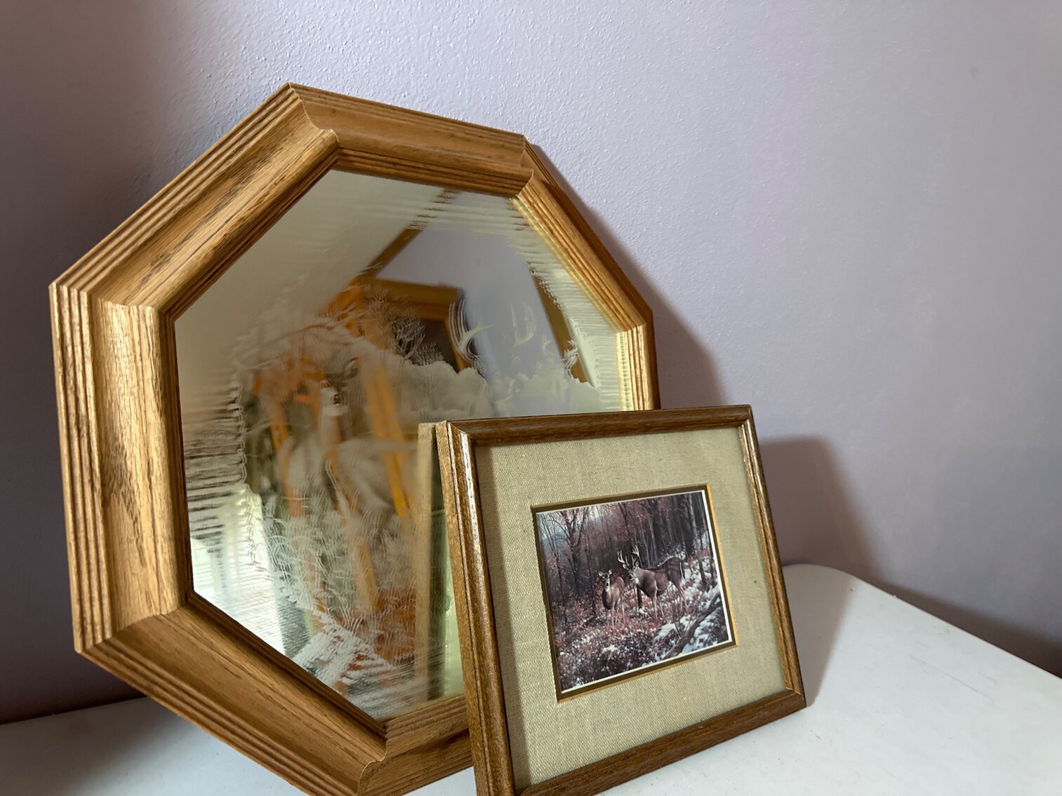 Deer Pictures