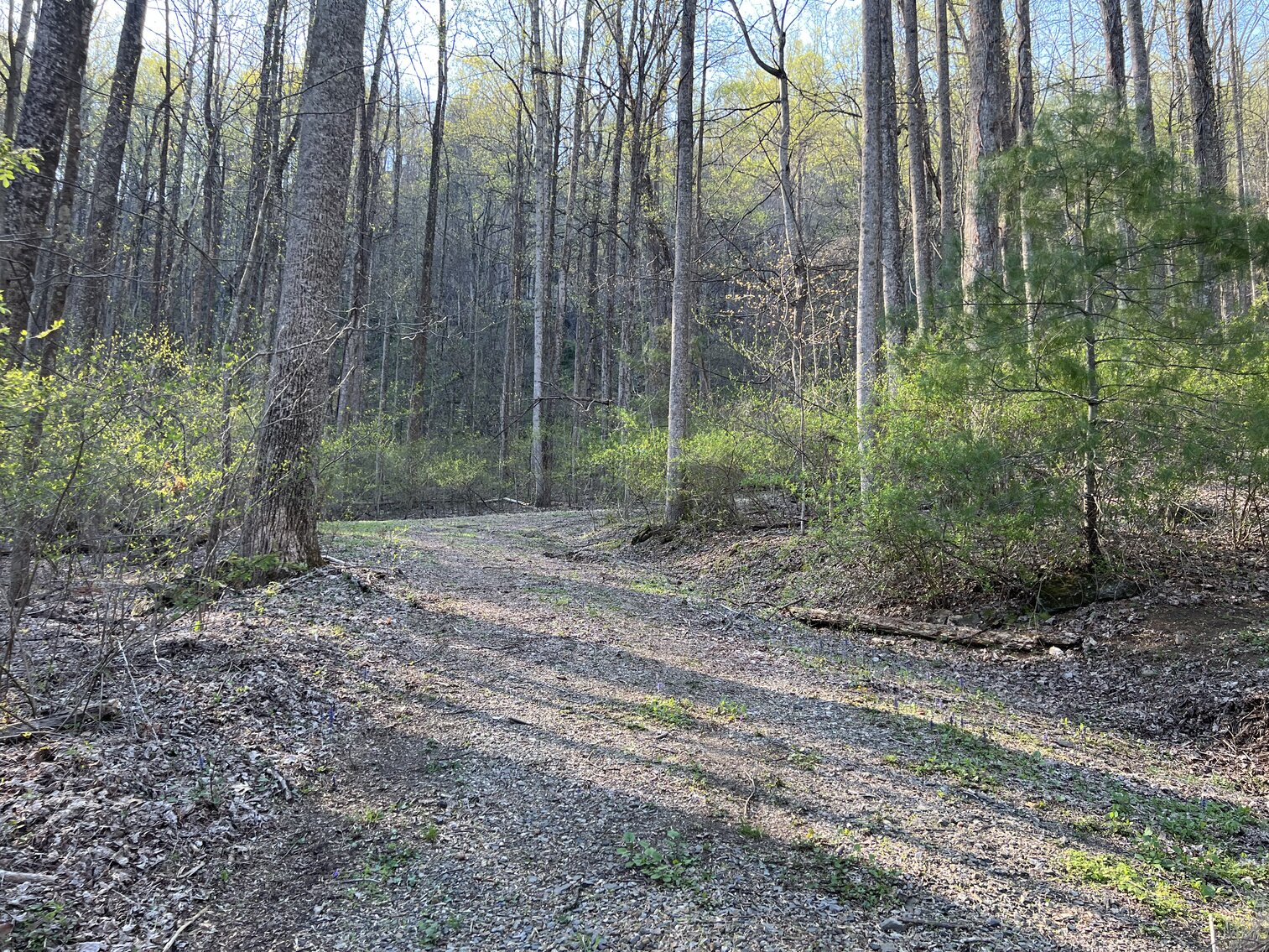 Image for Land For Sale in Fancy Gap Virginia - TBD North Ledge Trail