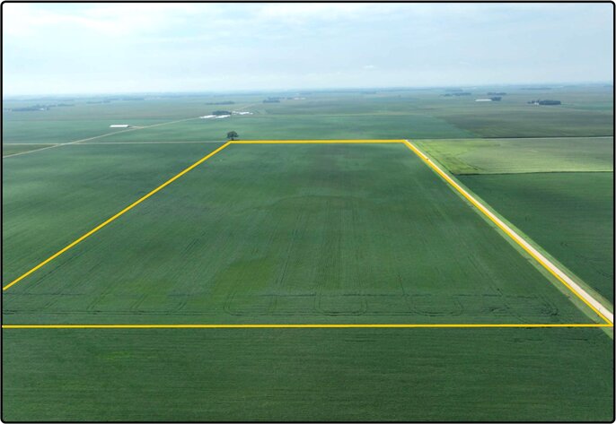 Image for Closed - Blue Earth Co., MN - 82.80 Ac., m/l (190-0208-01)