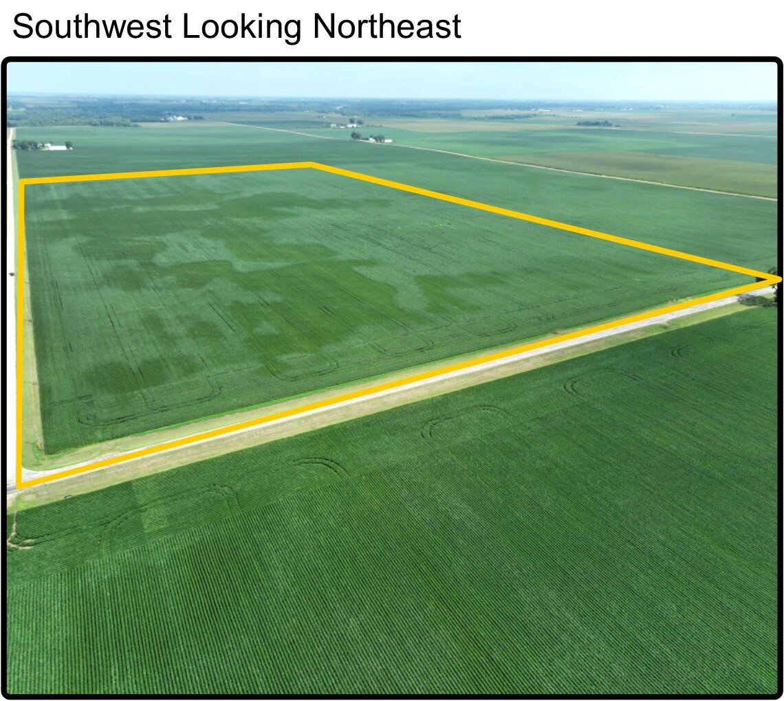 Image for Closed - Blue Earth Co., MN - 82.80 Ac., m/l (190-0208-01)