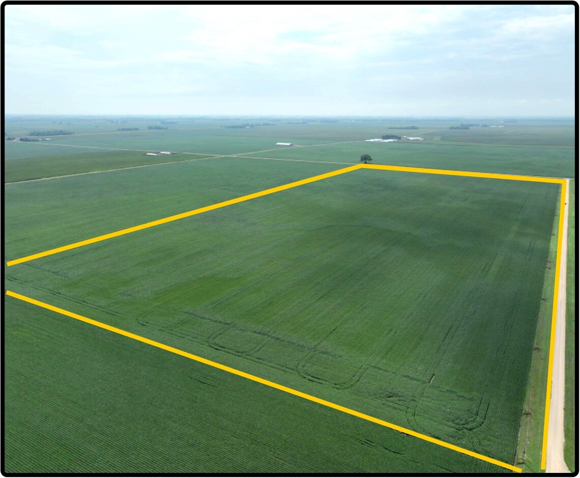 Image for Closed - Blue Earth Co., MN - 82.80 Ac., m/l (190-0208-01)