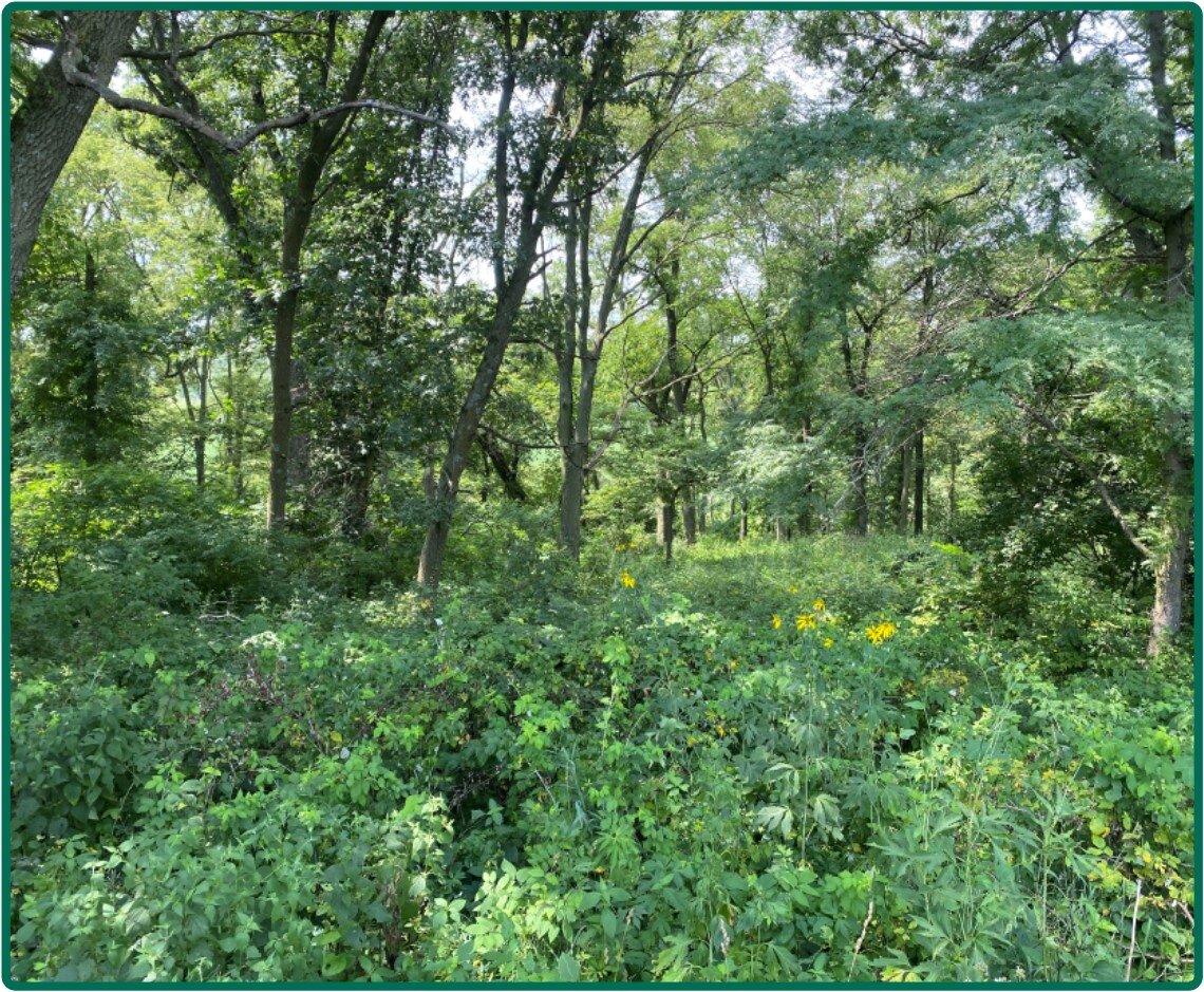 Image for Closed - Hardin Co., IA - 48.00 Ac., m/l (000-3938-02)