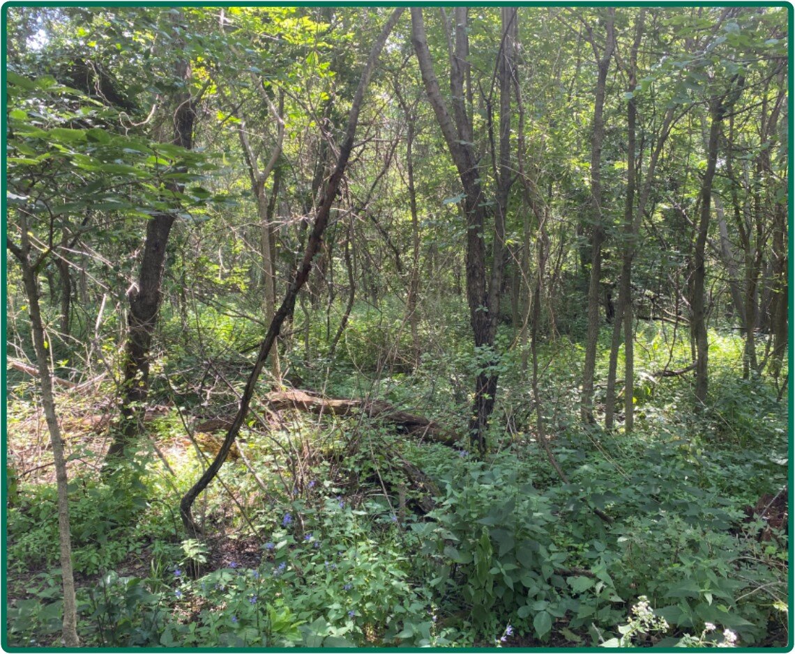 Image for Closed - Hardin Co., IA - 48.00 Ac., m/l (000-3938-02)