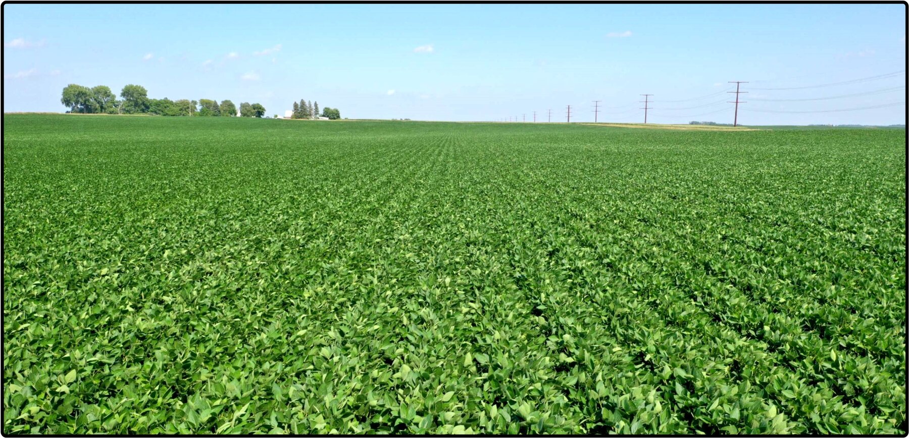 Image for Closed - Kossuth Co., IA - 80.00 Ac., m/l (010-2658-04)