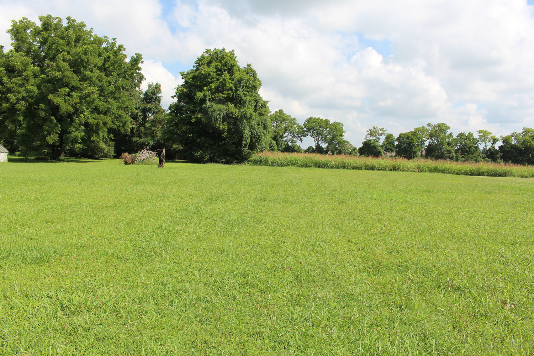 Image for 1054 Veterans Parkway, Murfreesboro