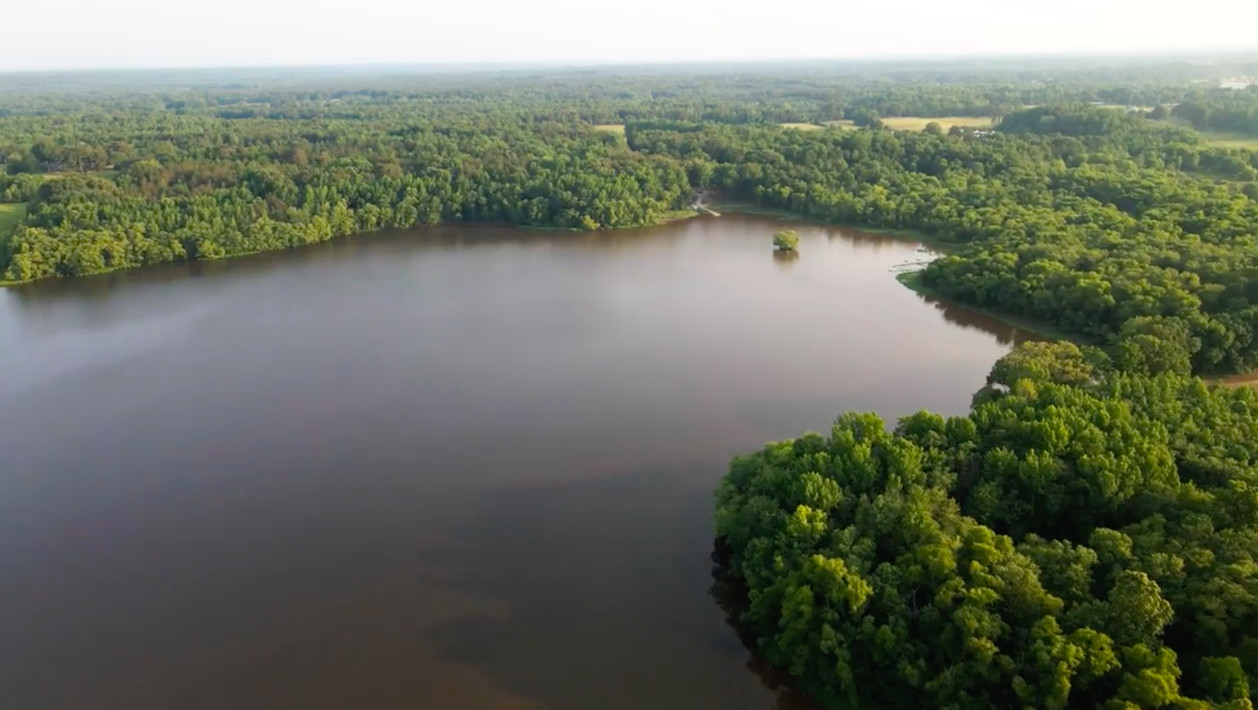 Image for 61± Acre Farm, Hardeman County, Middleton, TN