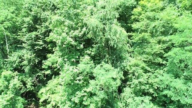 Image for SOLD $16,500 - 15 Acres Selling to the Highest Bidder