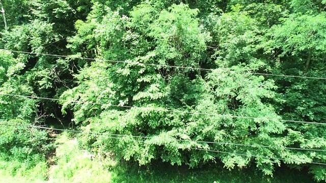 Image for SOLD $16,500 - 15 Acres Selling to the Highest Bidder