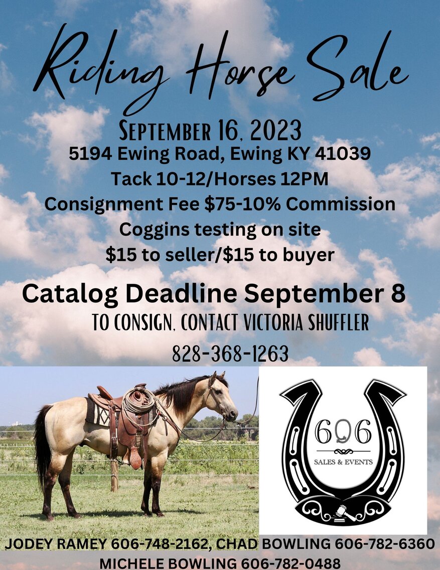 Image for 606 Riding Horse Sale, September 16th