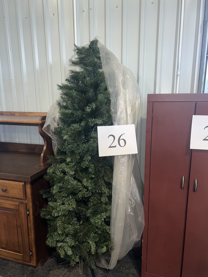 LIGHTED CHRISTMAS TREE