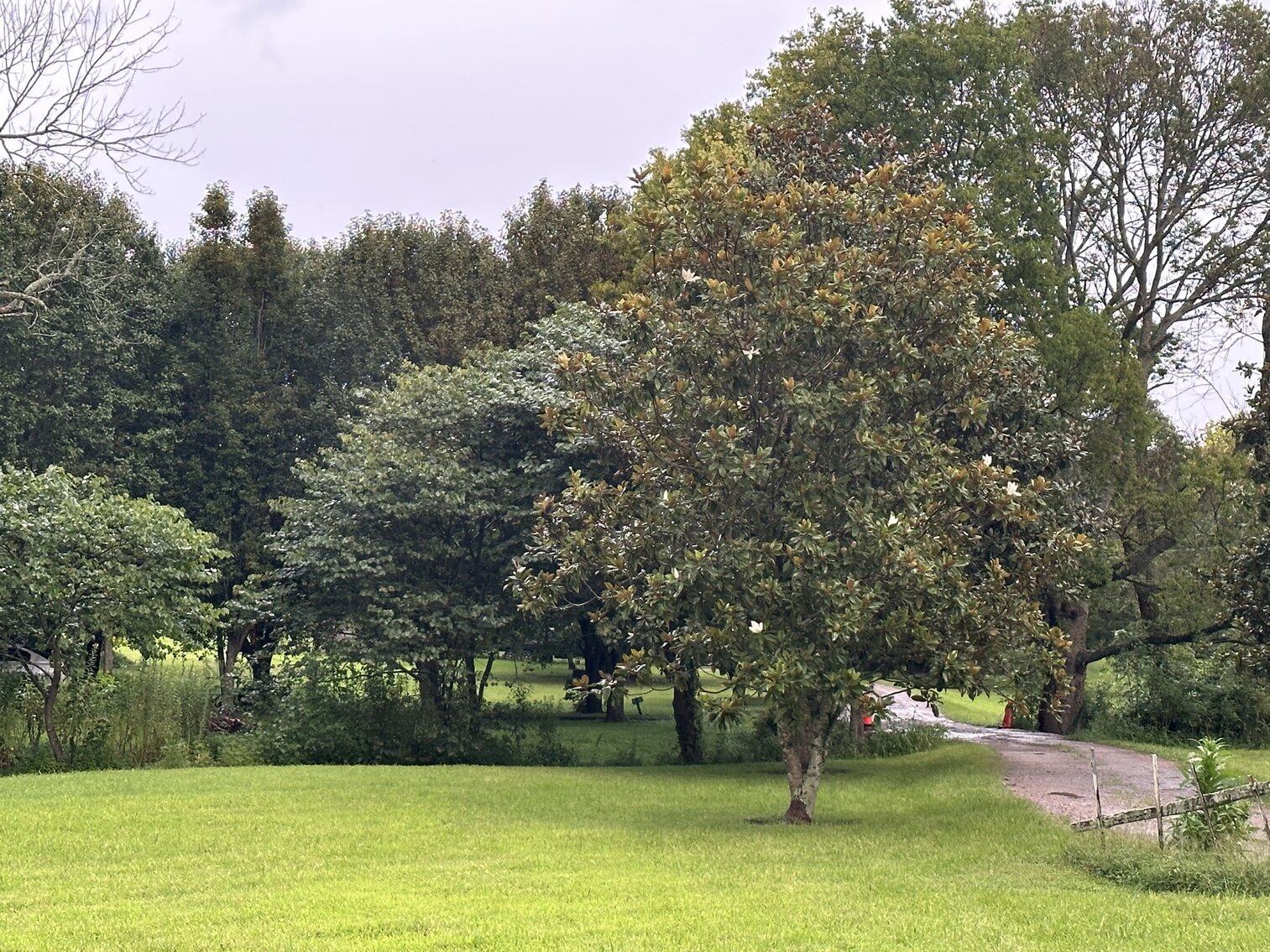 Image for 5018 Wilson Pike, Arrington