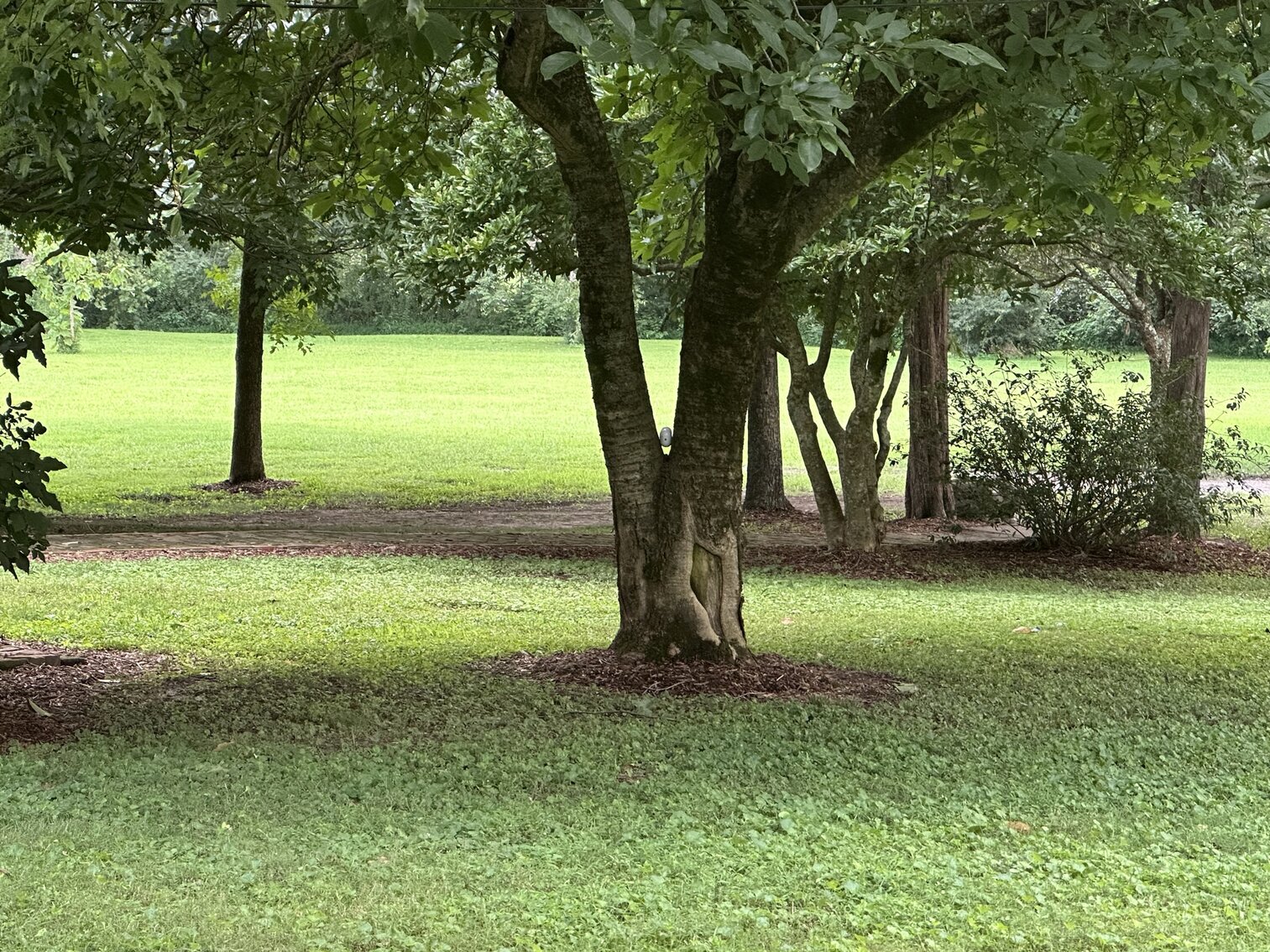 Image for 5018 Wilson Pike, Arrington