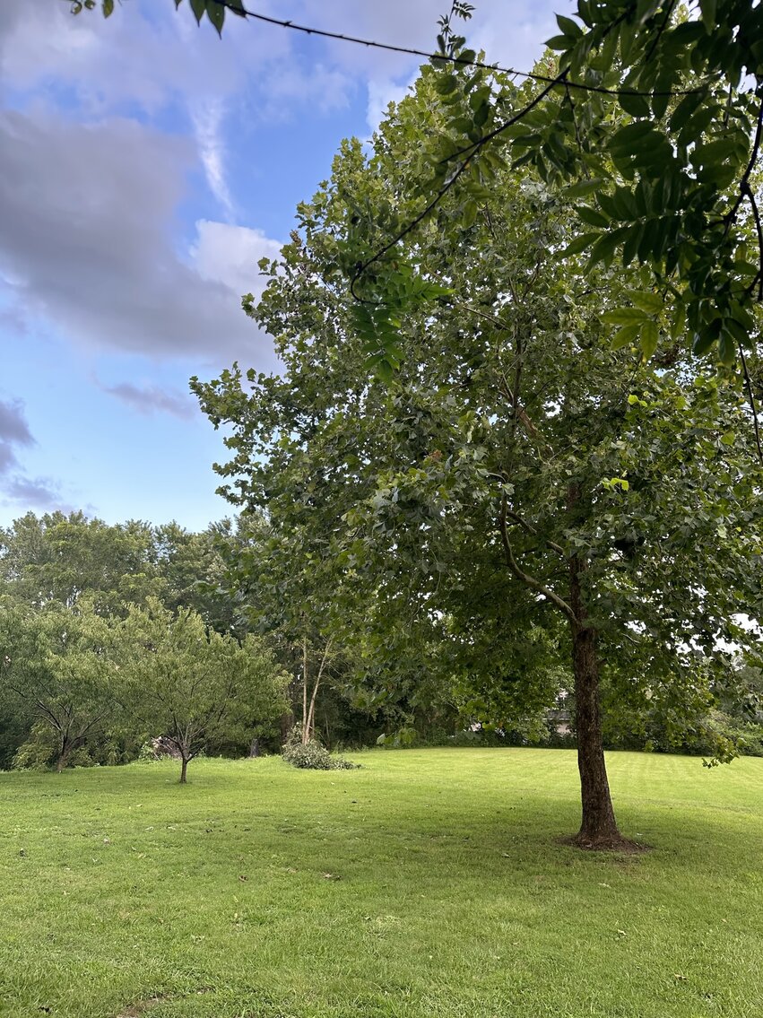 Image for 5018 Wilson Pike, Arrington