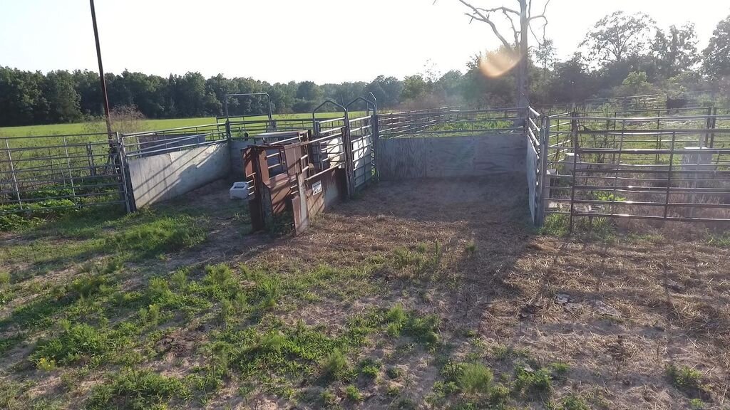 Image for Holman Real Estate Auction