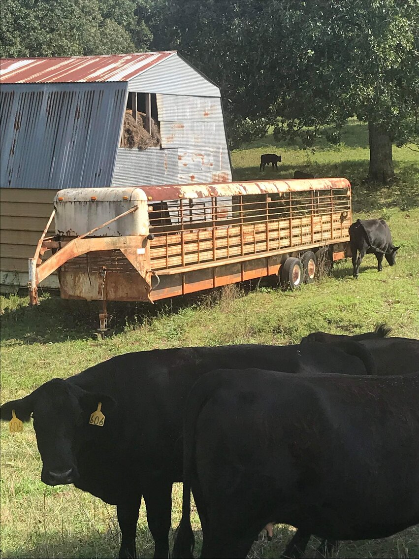 Image for Holman Real Estate Auction