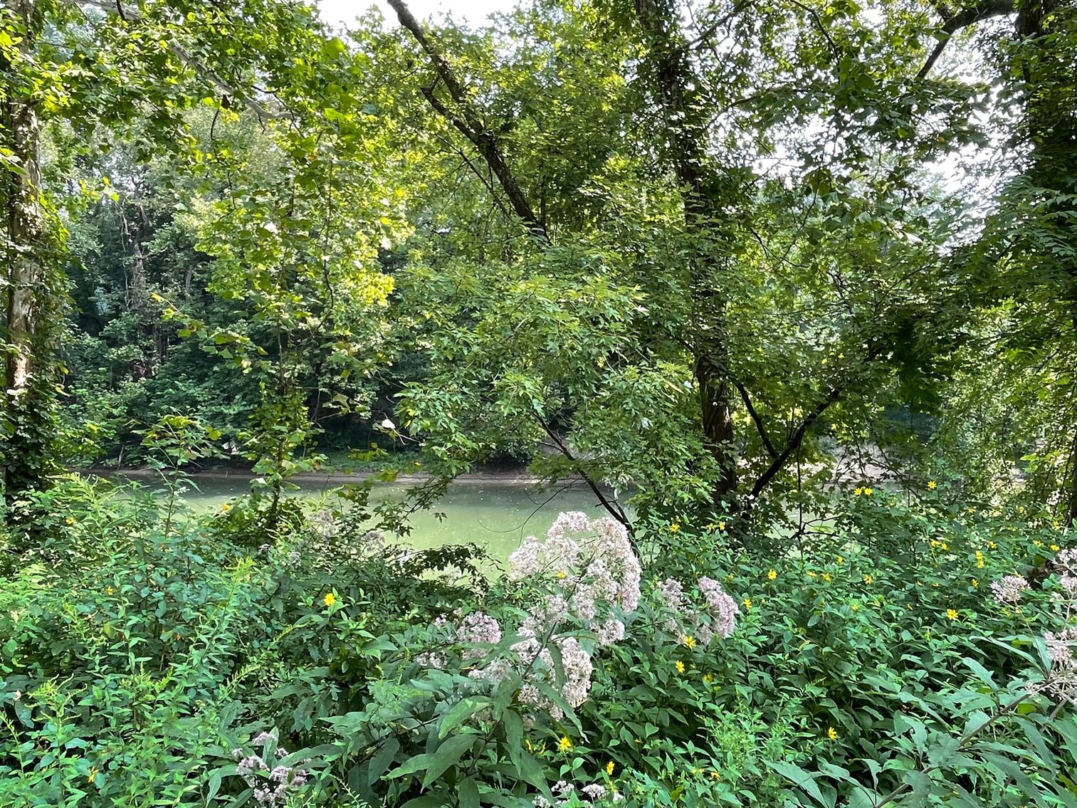 Image for SOLD $24,200 - Cozy Home on the Coal River Selling to the Highest Bidder