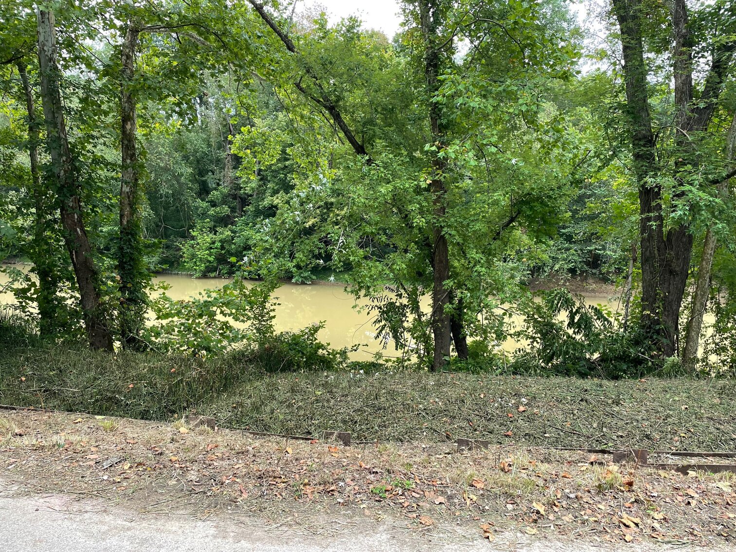 Image for SOLD $24,200 - Cozy Home on the Coal River Selling to the Highest Bidder