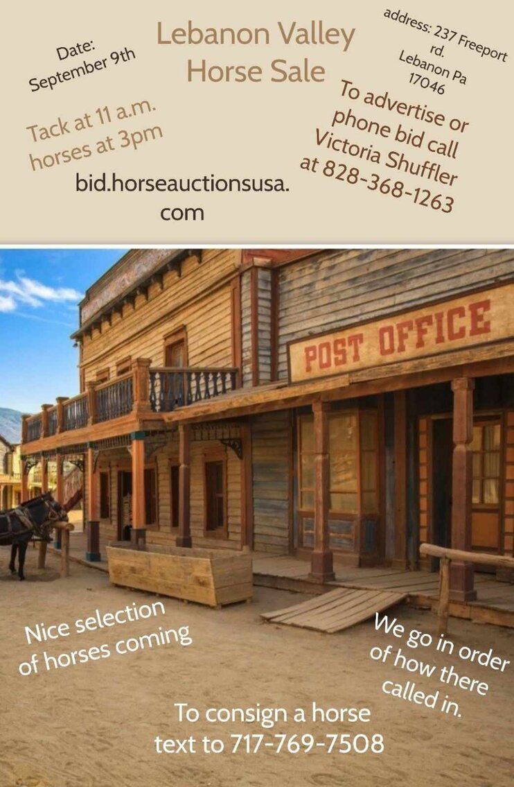 Lebanon Valley Horse Sale September 9th