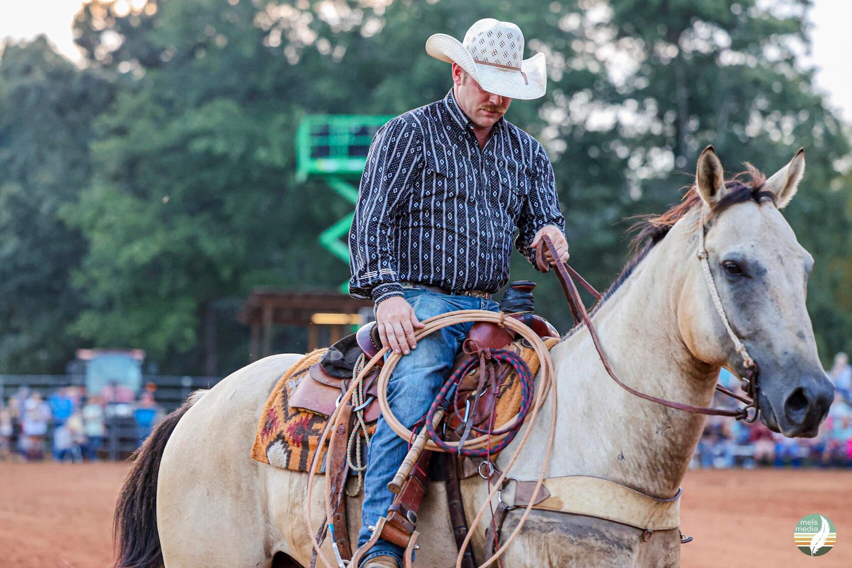 Lumberton Horse Auction September 4th